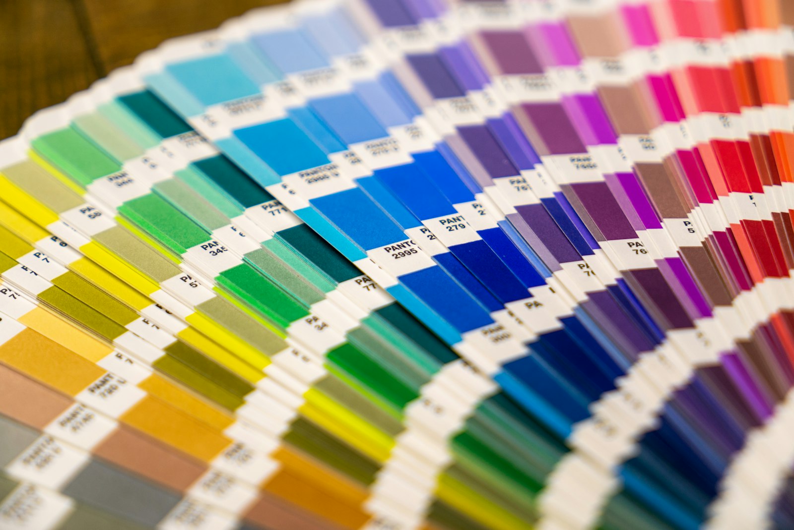 Muestrario de colores para la identidad de una marca